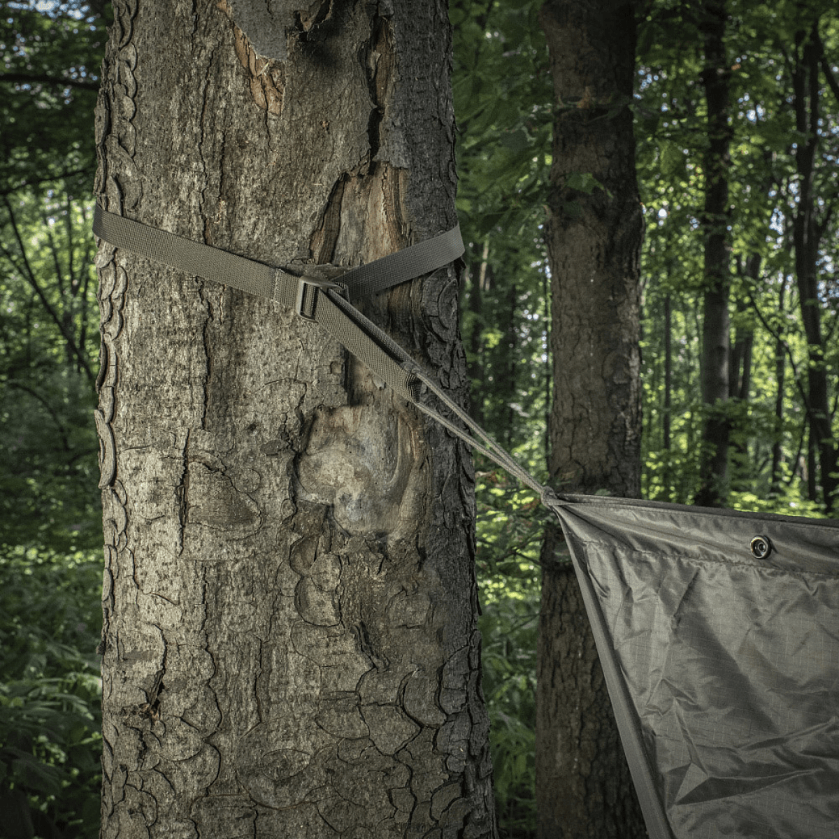M-Tac Kompressionsrem fastgjort til et træ, ideel til at sikre ekstra udstyr på en rygsæk under vandreture eller taktiske opgaver.
